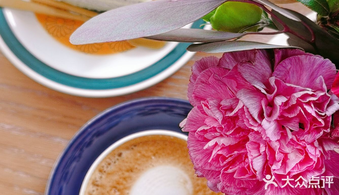 沉浸在美丽的花花草草中不可自拔