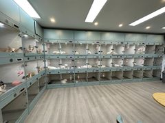 -萌宠之家·腊肠犬·马尔泰·小体犬舍