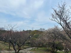 -无锡梅园公园