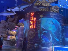 -烟台海昌鲸鲨海洋公园