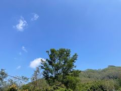 -丰依竹食·老牌竹筒饭