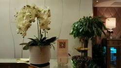 android_upload_pic-TIME SPA科技美肤机构