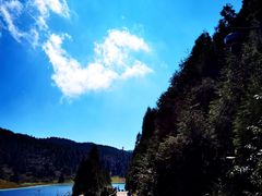 -武陵山森林公园