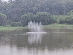 -福建鲤鱼洲酒店