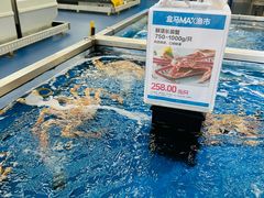-盒马X会员店(上海森兰商都店)