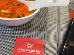 -三亚亚龙湾人间天堂鸟巢度假村