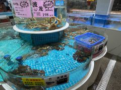 -皮记海鲜1995(寮步店)