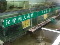-喜洋洋蟹庄(阳澄湖店)