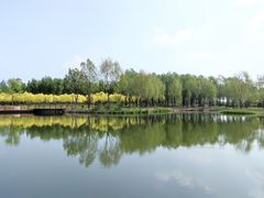 -东郊湿地公园