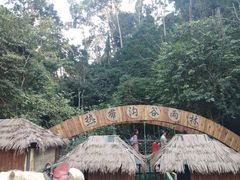 -西双版纳原始森林公园
