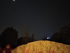 -南翔镇银翔湖公园