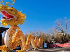 -中央广播电视塔