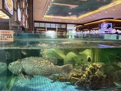 -聚福宝合苑食府(南头镇店)