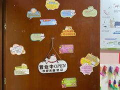 -车接车送·寄养洗护·德文猫舍(大宁店)