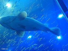 -成都浩海立方海洋公园