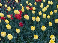 -长春公园(普阳街道)