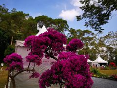 -人民公园(罗湖区)