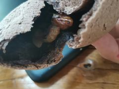 -啊噗吐呦现场烘焙(麦凯乐店)