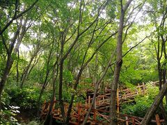 -大岭沟猕猴桃谷风景区