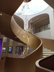 -广州美莱医疗美容医院