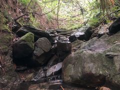 -素山寺森林公园