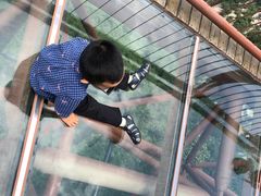 -少华山国家森林公园