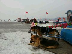 android_upload_pic-棋盘山冰雪大世界