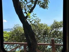 -普陀山慧济禅寺