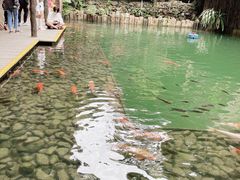 -海南槟榔谷黎苗文化旅游区