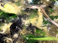 -徽州美食(三十年老店)