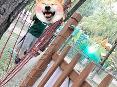 -北戴河集发农业梦想王国