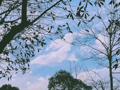 -院士公园
