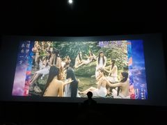 -幸福蓝海国际影城(上海三林店)
