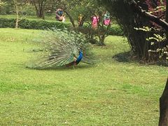 -天赐温泉