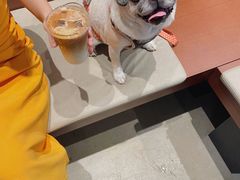 -LOOOAD COFFEE进度条(D9街区店)