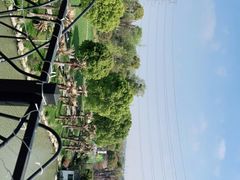 -桃园农庄·桃源宴