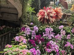 -正佳雨林生态植物园