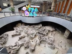 -自贡恐龙博物馆