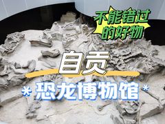 -自贡恐龙博物馆