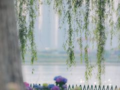 -金银湖国家城市湿地公园