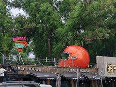 -沈阳奥林匹克体育中心