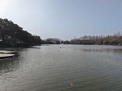 -IKEA宜家家居(南京商场)