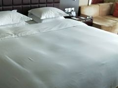-上海浦东绿地铂骊酒店