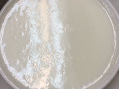 -澳洲牛奶公司(佐敦店)