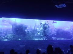 -江和美海洋公园