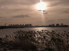 -上海山野camping·户外天幕烧烤·团建拓展营地