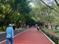 -南宁南湖公园