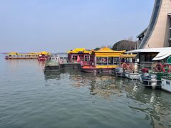 -溱湖国家湿地公园