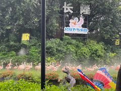 -广州长隆飞鸟乐园