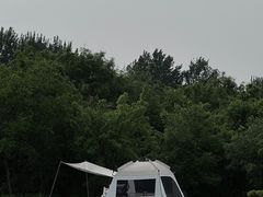 -济南森林公园